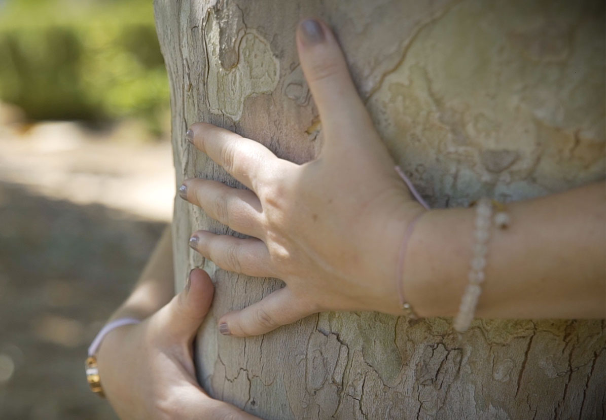 Imagen decorativa de unos brazos rodeando un árbol