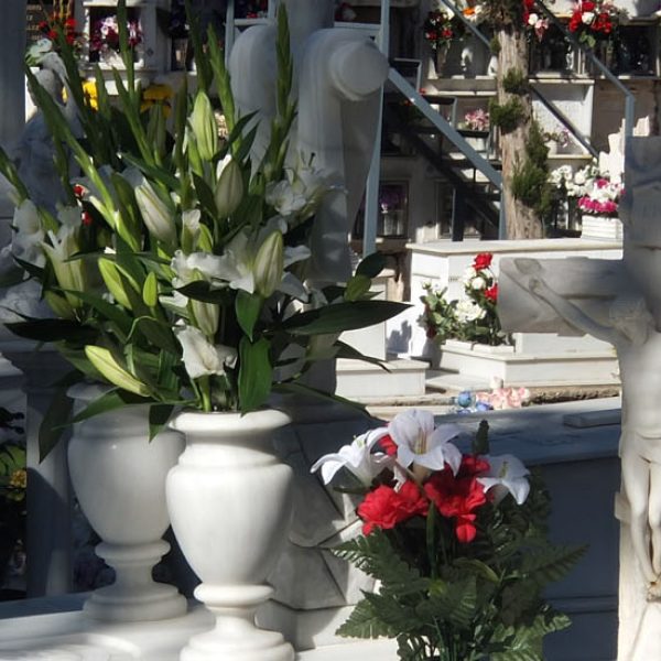 Imagen decorativa del cementerio del palo